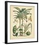 Fruitful Palm II-null-Framed Giclee Print