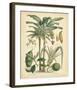 Fruitful Palm II-null-Framed Giclee Print