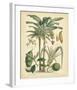 Fruitful Palm II-null-Framed Giclee Print