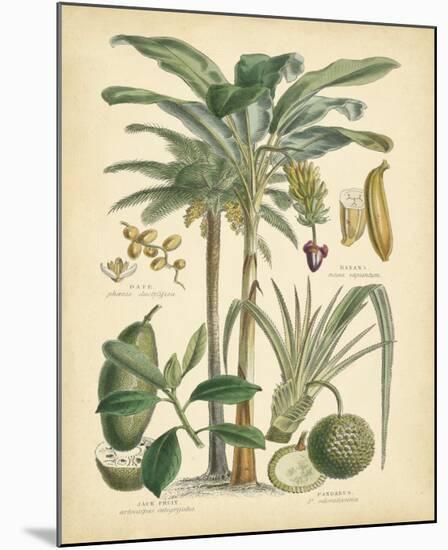Fruitful Palm II-null-Mounted Giclee Print
