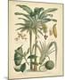 Fruitful Palm II-null-Mounted Giclee Print