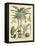 Fruitful Palm II-Vision Studio-Framed Stretched Canvas