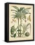 Fruitful Palm II-Vision Studio-Framed Stretched Canvas