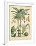 Fruitful Palm II-Vision Studio-Framed Art Print