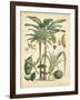 Fruitful Palm II-Vision Studio-Framed Art Print