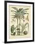 Fruitful Palm II-Vision Studio-Framed Art Print