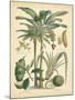 Fruitful Palm II-Vision Studio-Mounted Art Print