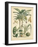 Fruitful Palm II-Vision Studio-Framed Art Print