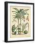 Fruitful Palm II-Vision Studio-Framed Art Print