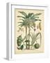 Fruitful Palm II-Vision Studio-Framed Art Print