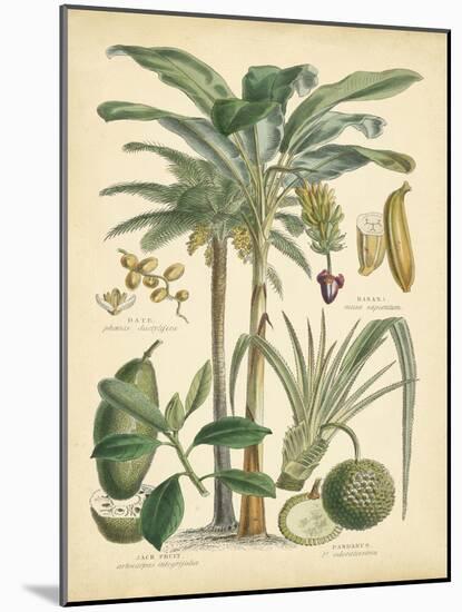 Fruitful Palm II-Vision Studio-Mounted Art Print