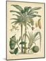 Fruitful Palm II-Vision Studio-Mounted Art Print