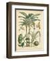 Fruitful Palm II-Vision Studio-Framed Art Print