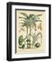 Fruitful Palm II-Vision Studio-Framed Art Print