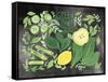 Fruitie Smoothie III on Black-Farida Zaman-Framed Stretched Canvas