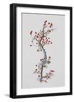 Fruiting Hawthorn, 1996-Rebecca John-Framed Giclee Print