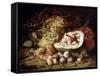 Fruits, 1670s-Abraham Brueghel-Framed Stretched Canvas