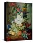 Fruits and Flowers-Jan van Os-Stretched Canvas