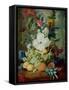 Fruits and Flowers-Jan van Os-Framed Stretched Canvas