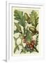 Fruits and Foliage II-Vision Studio-Framed Art Print