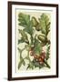 Fruits and Foliage II-Vision Studio-Framed Art Print