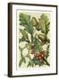 Fruits and Foliage II-Vision Studio-Framed Art Print