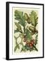 Fruits and Foliage II-Vision Studio-Framed Art Print