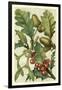 Fruits and Foliage II-Vision Studio-Framed Art Print