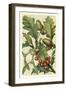 Fruits and Foliage II-Vision Studio-Framed Art Print