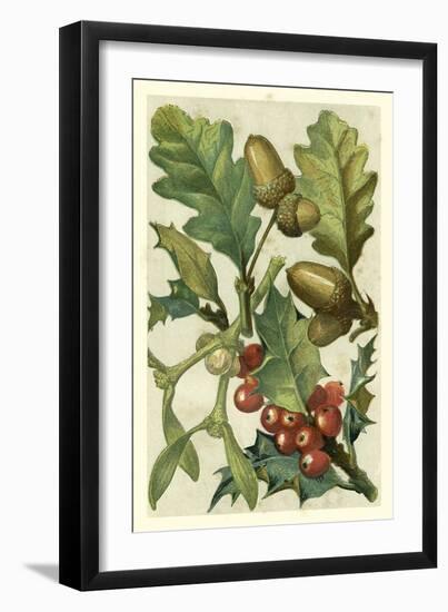 Fruits and Foliage II-Vision Studio-Framed Art Print