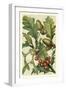 Fruits and Foliage II-Vision Studio-Framed Art Print