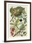 Fruits and Foliage V-Vision Studio-Framed Art Print