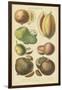 Fruits and Nuts I-Vision Studio-Framed Art Print