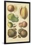 Fruits and Nuts I-Vision Studio-Framed Art Print