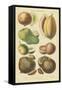 Fruits and Nuts I-Vision Studio-Framed Stretched Canvas