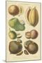 Fruits and Nuts I-Vision Studio-Mounted Art Print