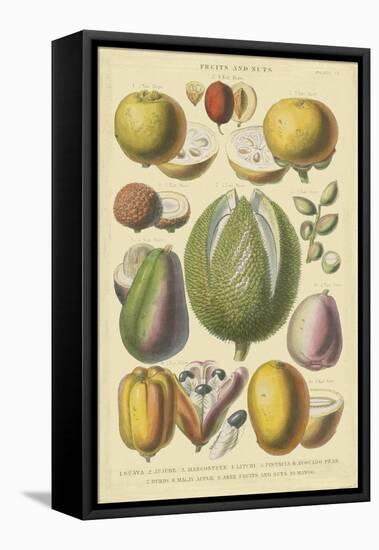 Fruits and Nuts II-Vision Studio-Framed Stretched Canvas