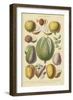 Fruits and Nuts II-Vision Studio-Framed Art Print
