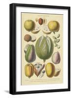 Fruits and Nuts II-Vision Studio-Framed Art Print