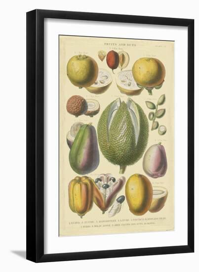 Fruits and Nuts II-Vision Studio-Framed Art Print