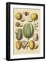 Fruits and Nuts II-Vision Studio-Framed Art Print