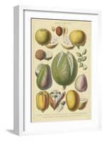 Fruits and Nuts II-Vision Studio-Framed Art Print