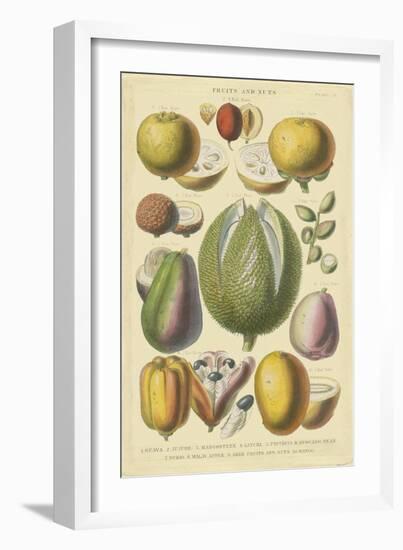 Fruits and Nuts II-Vision Studio-Framed Art Print