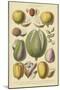 Fruits and Nuts II-Vision Studio-Mounted Art Print