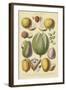 Fruits and Nuts II-Vision Studio-Framed Art Print