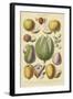 Fruits and Nuts II-Vision Studio-Framed Art Print