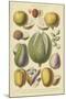 Fruits and Nuts II-Vision Studio-Mounted Art Print