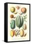 Fruits and Nuts-William Rhind-Framed Stretched Canvas