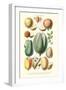 Fruits and Nuts-William Rhind-Framed Art Print