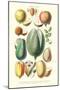 Fruits and Nuts-William Rhind-Mounted Art Print